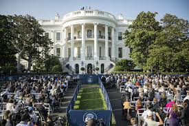 Image result for Bidens diversa