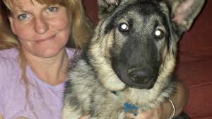 GSRSV's 2014 Rescue/Adoption Record