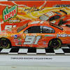 The series was formed in 1982 when nascar consolidated. Https Encrypted Tbn0 Gstatic Com Images Q Tbn And9gcs Xor Qw401phgypekxxslll9ns Ypzd Fkog9yszbvv3i1pqr Usqp Cau