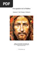 Ser y Quehacer de Las Comisiones y Dimensiones-Agenda 2014