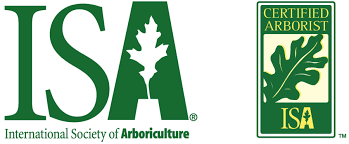 Plant healthcare exton pennsylvania residents trust. What Is A Certified Arborist What Does It Mean Advanced Tree Shrub Care Inc
