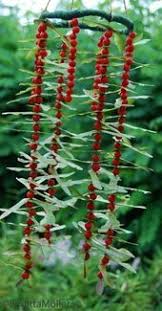 Was Fur Eine Grossartige Naturliche Dekoration Fur Den Garten Was Fur F Garten Pflanzen Ideen In 2020 Land Art Nature Crafts Earth Art
