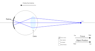 Bound and protected with heavy blue leatherette cover. Optics Of The Human Eye Geogebra