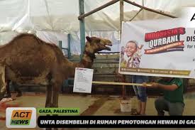 4222018 background pamflet qurban vector berikutnya merupakan gambar berkaitan dengan eid mubarak png images vector and psd files free yang dapat sobat jadikan inspirasi 11 best idul adha qurban images in 2018 newsletter. Ini Harga Hewan Kurban Kambing Sapi Dan Unta Di Global Qurban Act Seputar Tangsel