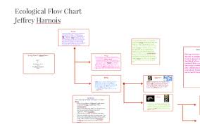 Ecology Flow Chart By Bob Smith On Prezi