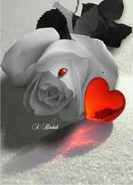 Pin On Image Bonjour Mon Amour
