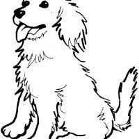 His eyes and nose will be of brown color. Golden Retriever