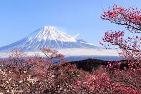 Schnell und sicher online buchen. Mount Fuji Japan Franks Travelbox
