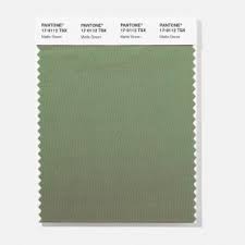 Pantone 17 0112 Tsx Matte Green Polyester Swatch Card