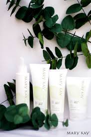 Todos os produtos da linha botanical effects® contém ingredientes multibenefícios derivados de extratos da pitaia e aloe vera que são ricos em poderosos antioxidantes! Testimoni Botanical Effect Mary Kay Liyliz Yusof