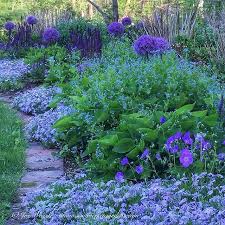 Landscape Design Garden Design Swimming Pool Summersetgardens In 2020 Beautiful Gardens Landscape Design Garden Design
