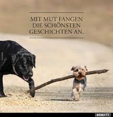 Pin Auf Spruche