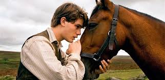 We did not find results for: Vacunas Que Necesita El Caballo Noti Caballos