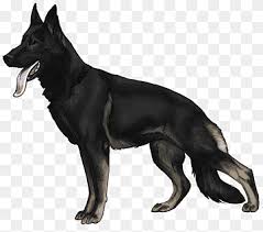 When the german shepherd dogs were brought to russia in the however, because of the nature of the jobs the dogs perform, only dogs with pure black coat colors are accepted. East European Shepherd Png Images Pngwing