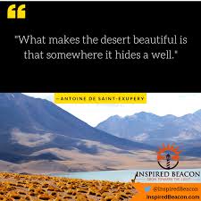 What Makes The Desert Beautiful Is That Somewhere It Hides A Well Antoine De Saint Exupery Kaylaa Blackwell
