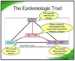 This Demonstrates The Epidemiological Triad Of Disease Public Health Health Promotion Childrens Health