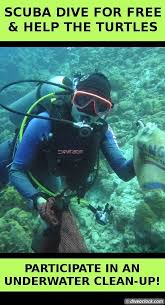 Scuba Dive For Free Help The Turtles On Bonaire Four Times A Year Dive Center Dive Friends Bonaire Organizes Scuba Diving Scuba Diving Certification Diving