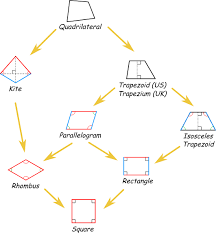 Quadrilaterals Square Rectangle Rhombus Trapezoid