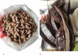 Image result for Monodora minor