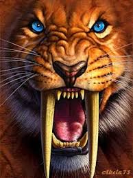 Pin De Oscar Isnardi En Animals Tigre Dientes De Sable Fotos De Animales Salvajes Dientes De Sable