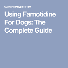 Using Famotidine For Dogs The Complete Guide Dog Medicine Dogs Complete Guide