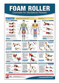 Foam Roller Myofascial Release Chart Poster Muscle Massage Myofascial Release Poster Muscle Rolli Foam Roller Exercises Myofascial Release Muscles Massage