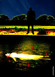 Nick Cave Kylie Minogue Where The Wild Roses Grow Where The Wild Roses Grow Nick Cave The Bad Seeds And Kylie Minogue The Bad Seed Growing Roses Wild Roses