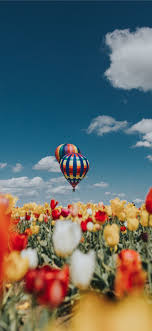 Spring windows wallpapers pc in both widescreen and 4:3 resolutions. Free Spring Wallpaper For Iphone 11 Total Update