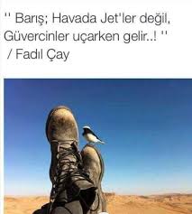 World Adli Kullanicinin Bazilari Siir Sev Mez Panosundaki Pin Guzel Soz Edebiyat Felsefe