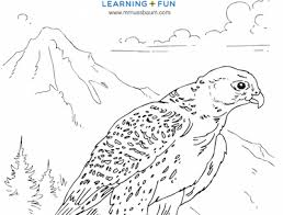 Search through 52644 colorings, dot to dots, tutorials and silhouettes. Mr Nussbaum Arctic Tern Coloring Page