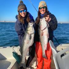 The provinces look after the fresh water fin fish information and licensing requirement and the department of fisheries and oceans is the source of information for saltwater fish and shellfish. 2021 Nj Saltwater Fishing Regulations Nj Fishing Club