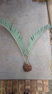 Image result for Encephalartos ngoyanus