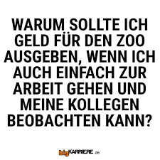 Echt So Lustige Zitate Und Spruche Lustige Spruche Witzige Spruche