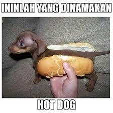 69 Gambar Dp Bbm Lucu Kata Kata Ngakak Terbaru