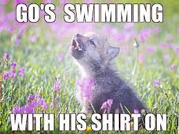 Baby Insanity Wolf Animal Memes Animals Insanity Wolf