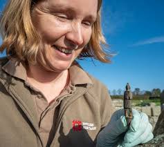 Découverte en Angleterre d'un rare manche de couteau vieux de 2000 ans  représentant un gladiateur