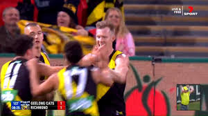 Semi final west coast v geelong: Afl 2020 Season Round 17 Tigers Trounce Cats As It Happened Sport The Guardian