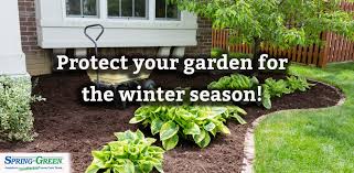 We did not find results for: How Winter Mulch Can Protect Your Gardenthis Season