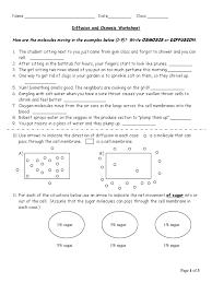Diffusion and osmosis worksheet 2 answers. 02 Diffusion And Osmosis Worksheet Osmosis Cell Biology
