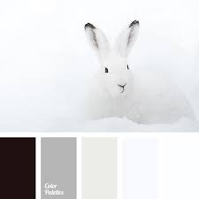 Browse color schemes to find color inspiration from black and white color palettes and choose the perfect color combinations for your designs. Color Palette 2560 Color Palette Grey Color Palette Palette Ideas