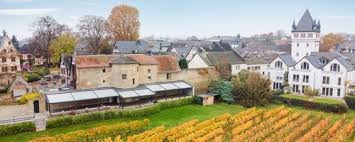 Our roofed terrace with romantic view on vineyards and the river rhein invites you to stay. Home Hipp Object