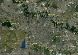 Învățământ superior din românia autorizată ca atc (authorized training air fares and ticketing 1 (tarife aeriene și ticketing 1) m1.13. Soil Mite Communities Acari Mesostigmata As Indicators Of Urban Ecosystems In Bucharest Romania Scientific Reports