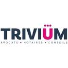Nordence x Trivium