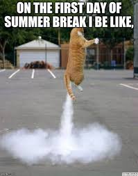 Memes for the first day of summer, christine wanda blog. Rocket Cat Imgflip