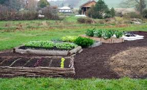 Five Raised Beds Raised Garden Building Raised Garden Beds Building A Raised Garden