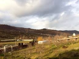 In judetul dambovita exista numeroase posibilitati de agrement pentru turisti: De Vizitat In JudeÈul DamboviÈa Ferma Club 5 Èi Imprejurimile S