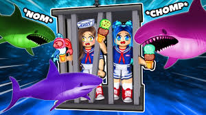Is roblox safe for your kid panda security mediacenter. Roblox Sharkbite Funny Moments Bancuri Bune