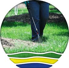 Regular lawn maintenance can do wonders for your home's curb appeal. Texas Lawn Treatment Services Yard Maintenance