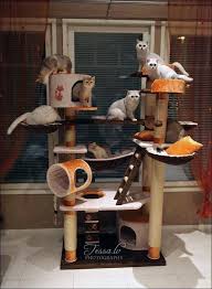 Kedi Tirmalama Evi Cats Tree Evcil Hayvan Malzemeleri Evcil Hayvan Aksesuarlari Kedi