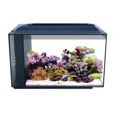 Fluval 13 5 Gallon Evo Xii Marine Aquarium Kit Petco Aquarium Kit Marine Aquarium Saltwater Fish Tanks